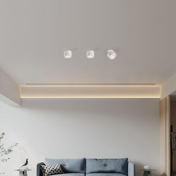 FlexiZylinder | LED Einbau-Deckenleuchte