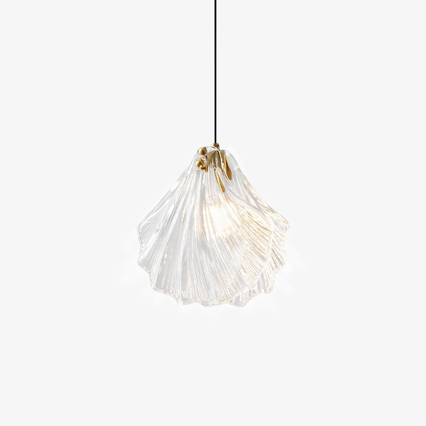Coralia | Glas Pendelleuchte in Muschelform