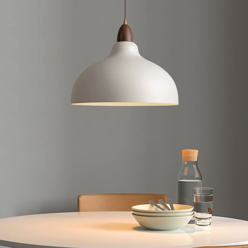 Norvia | Pendelleuchte im Kuppeldesign